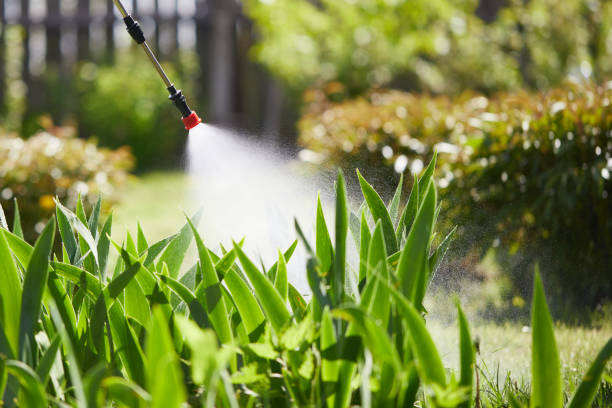 Tamper-Resistant Bait Stations for Rodents in Marshall