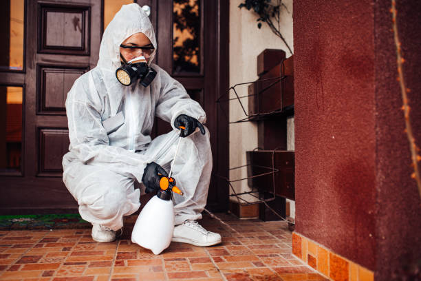 Attic and Crawl Space Rodent Treatment in Marshall