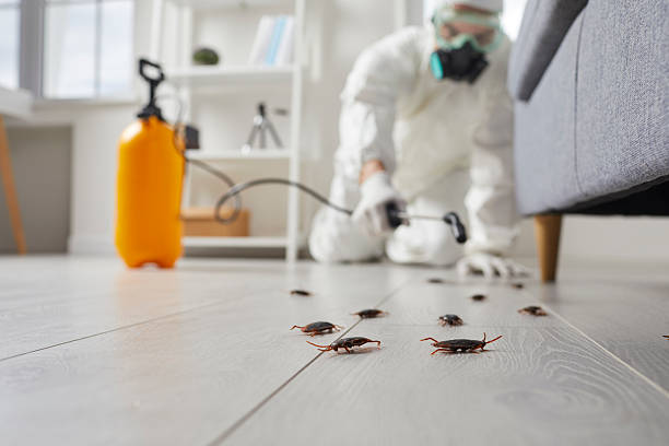 Commercial Rodent Management in Marshall